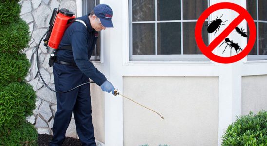 Çukurca Akrep İlaçlama böcek ilaçlama ve haşere kontrolü — ilaclama-tr.com